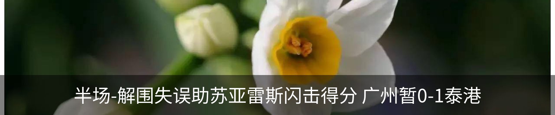 内页banner